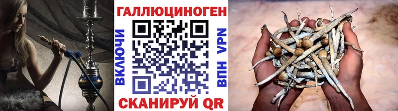 Псилоцибиновые грибы GOLDEN TEACHER  Артёмовский 